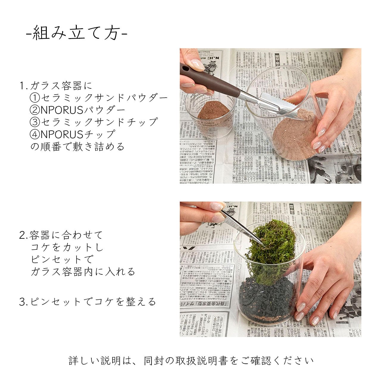 苔テラリウム Lサイズ（NPORUS） | plus to u