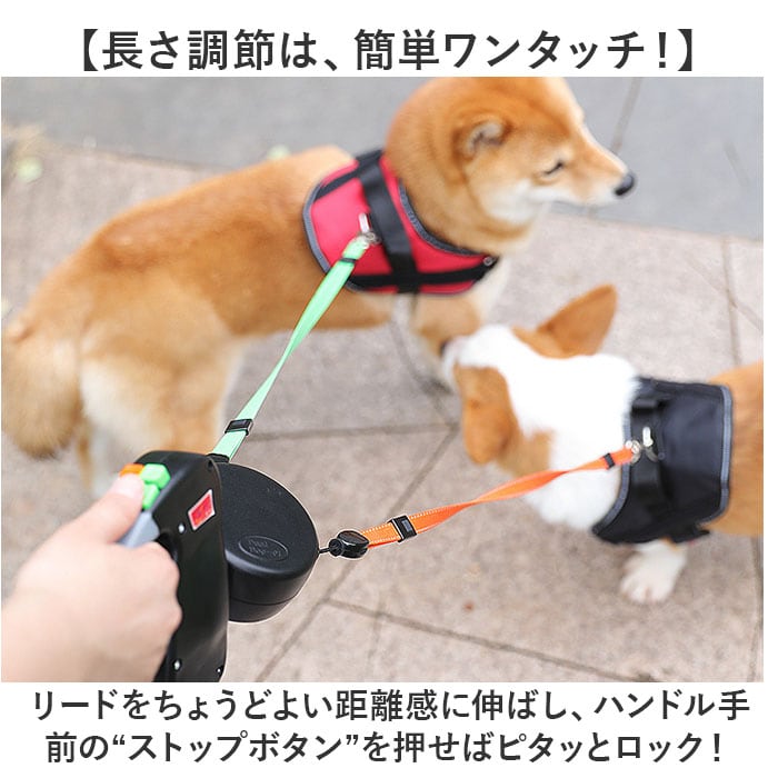 ハーネス ネーム刺繍 Nylon light 2cm幅 / 2.5cm幅 | RICH TOKYO 2個対応