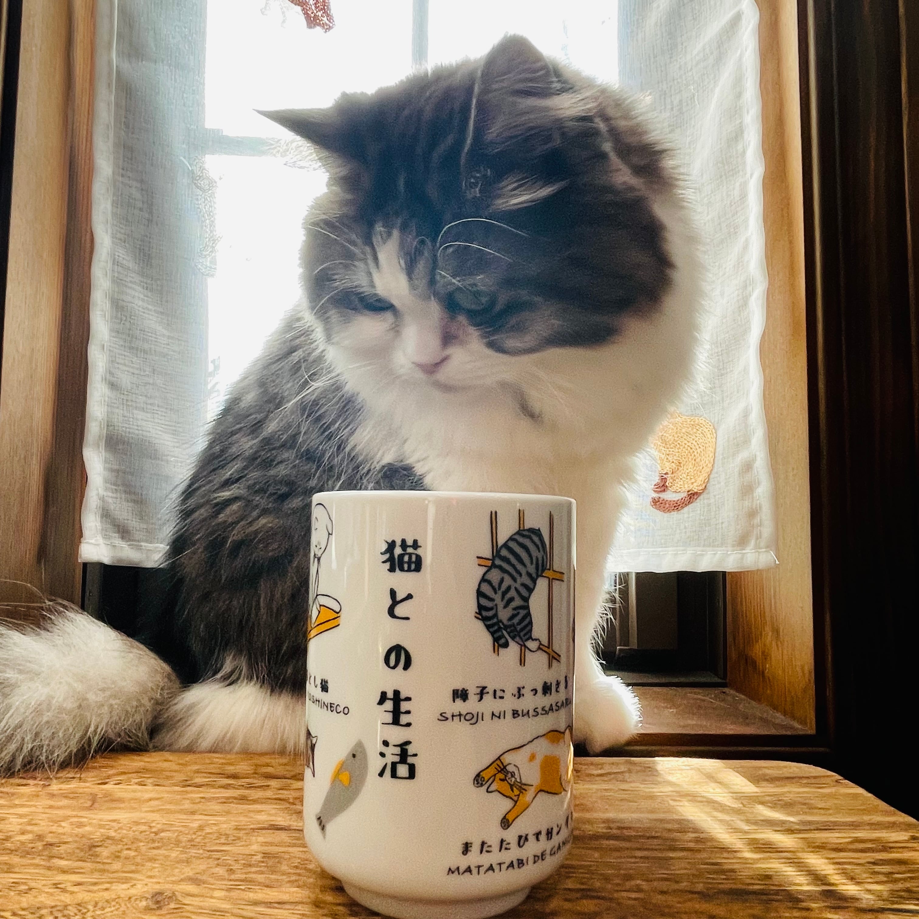 ゆのみ| 猫 ねこ ネコ 猫雑貨 猫グッズ かわいい プレゼント 贈り物 おうち時間 おうちカフェ