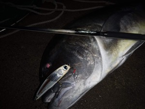 TRUTH JAPAN  Occean Sprinter 8110 Over Head Model（トゥルースジャパン）