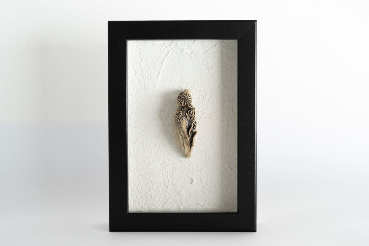 「空想化石標本」辻本喜代美 作