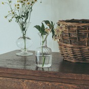 【wells.】Glass flower vase (M)
