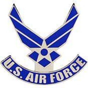 ミリタリー U.S.Air Force ロゴ ピンバッジ  P14276 アメリカ エアフォース