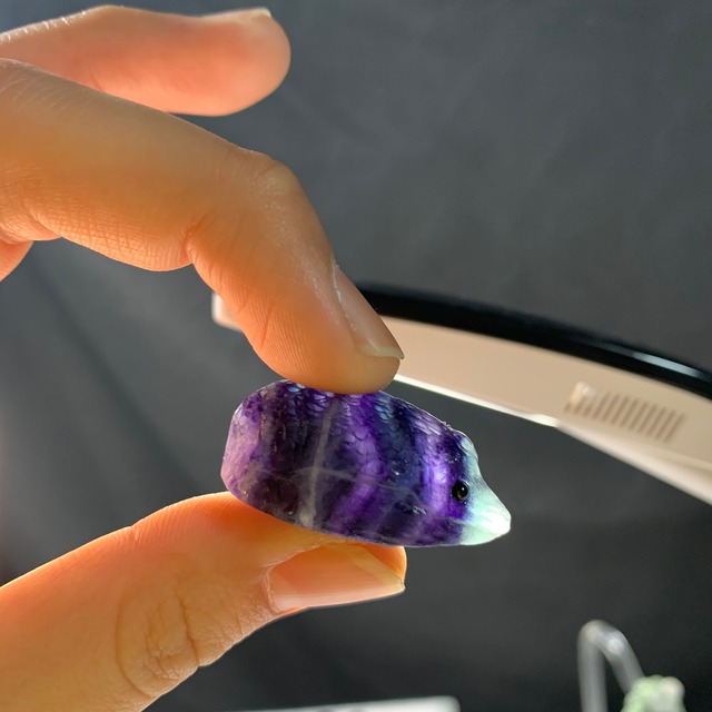 14ハリネズミ  フローライト