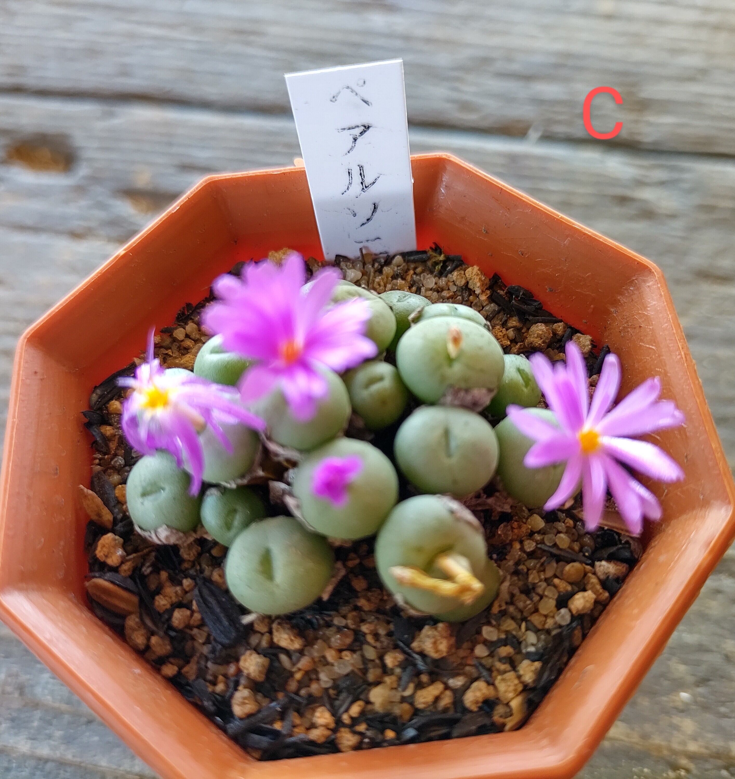 昭和レトロガラスの花瓶 フラワーベース 花びら ピンク オーロラ