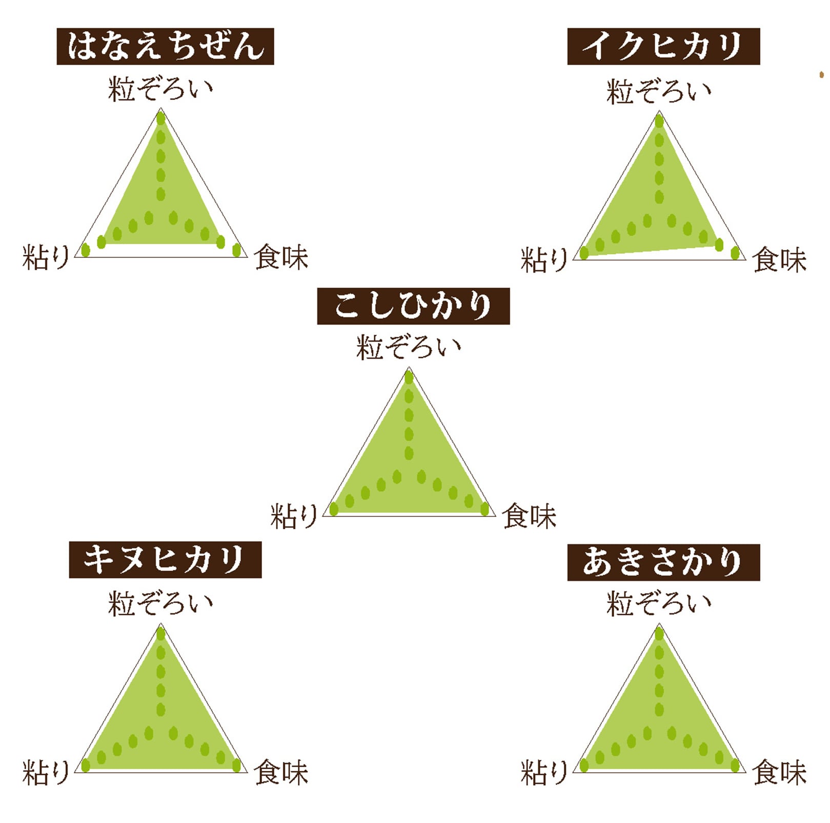 新米 令和7年度産 1等級 玄米30キロ 新米 コシヒカリ はなえちぜん