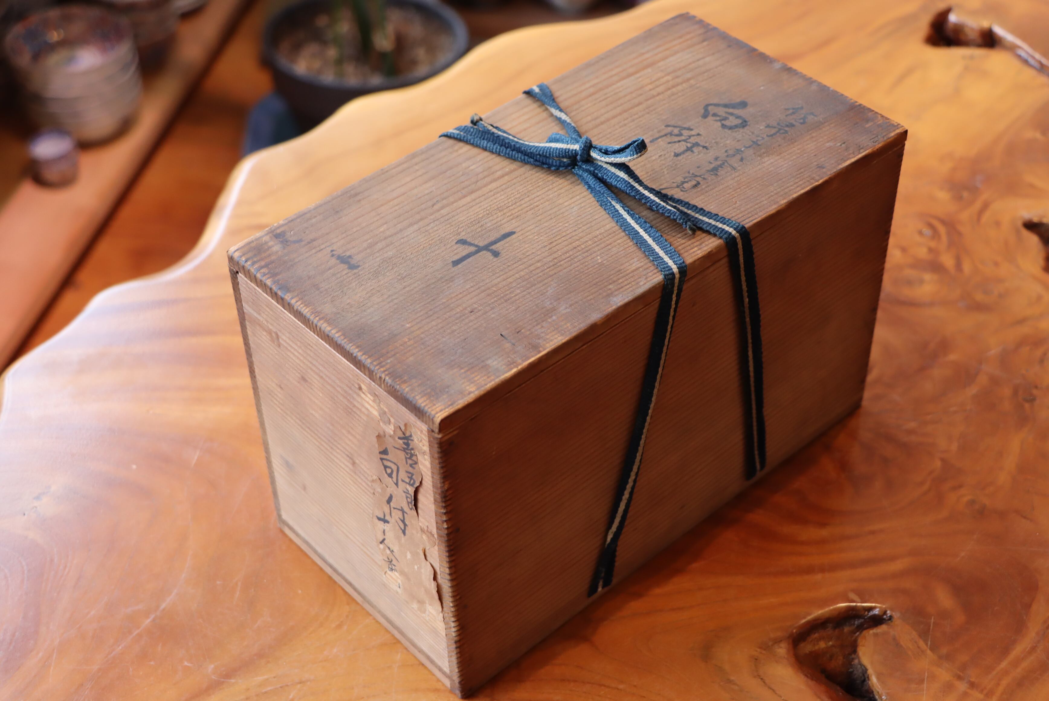 永楽善五郎 呉須赤絵 菊文 向付 九客組 共箱 | (有)新原美術