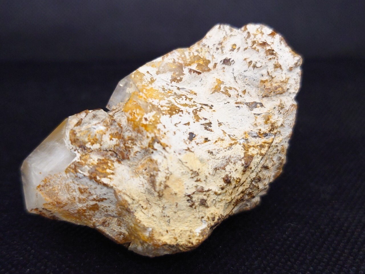 積極的に行動23