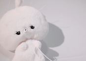 Kaninchenのあの子 じぶんさんぽ