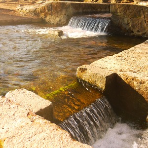 【令和7年産・新米】きわだつ大粒！【極】白米・4kg　特別栽培米　こぴっと米