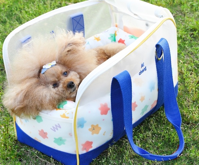 キャット 猫 ドッグ 犬 小型犬 キャリー クッション ベッド バッグ 薄手 メッシュ かわいい きれいめ シンプル おしゃれ ラフ クール モダン 主役級 存在感 ラブリー キュート ラグジュアリー ベーシック シンプル 無地 チェック 格子柄 アニマル柄 キャラクター オールシーズン シーズンレス 男の子 女の子 成犬 子ども ベビー 子猫 子犬 赤ちゃん 成猫 お出かけ お泊まり アウトドア 旅行 休日 ホテル 室内 楽ちん M L パステル モノトーン