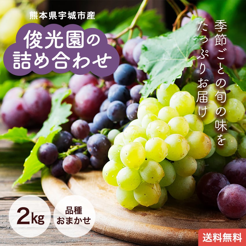 熊本県宇城市産 俊光園の詰め合わせ 2kg