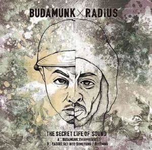 【7"】Budamunk / Radius - The Secret Life Of Sound