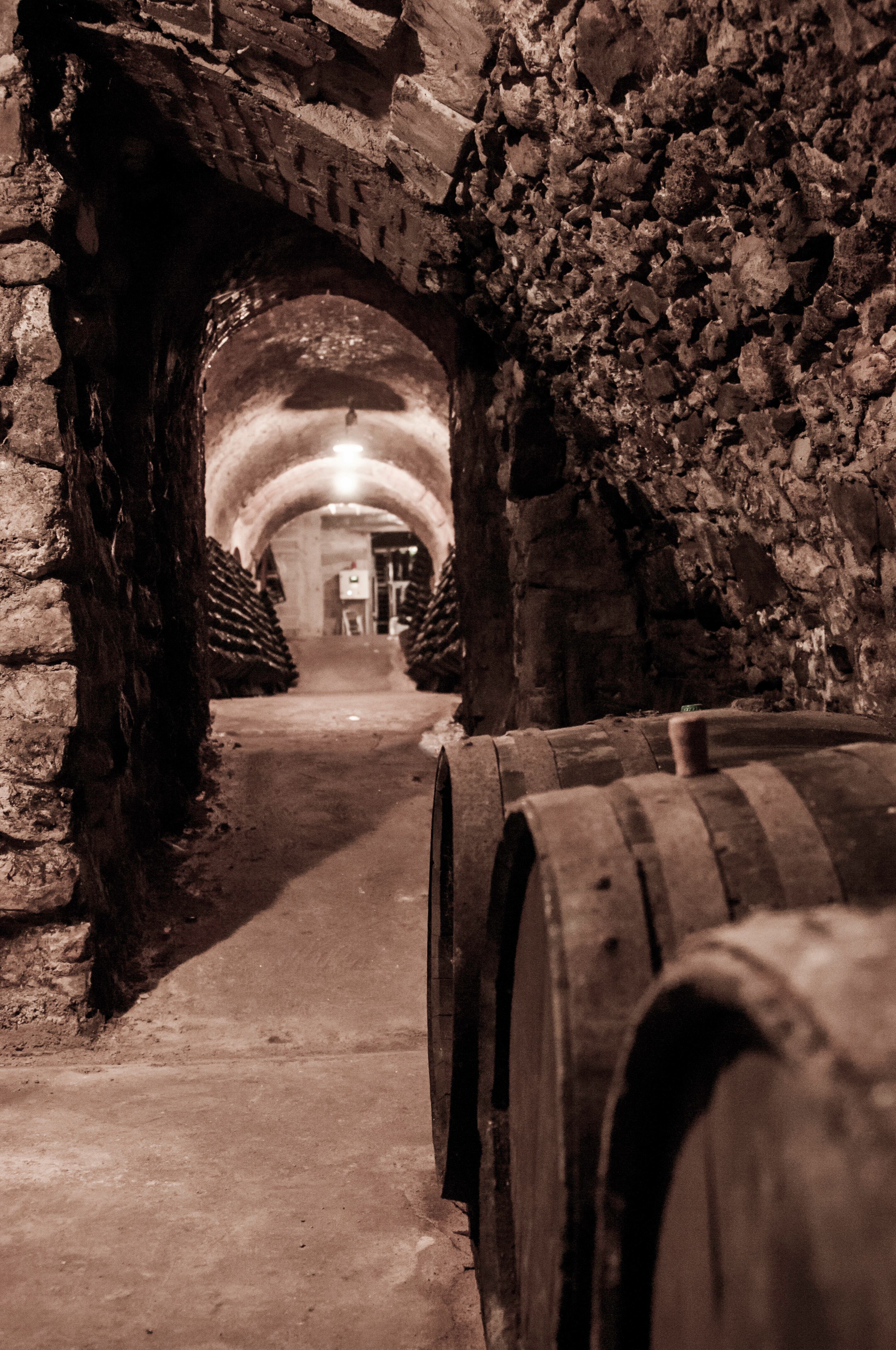 【シャルトーニュ・タイエ】 キュヴェ・サンタンヌ ブリュット