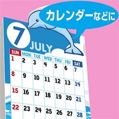 コクヨ(KOKUYO) インクジェットプリンタ用紙 厚紙用紙 B5 50枚 KJ-M15B5-50