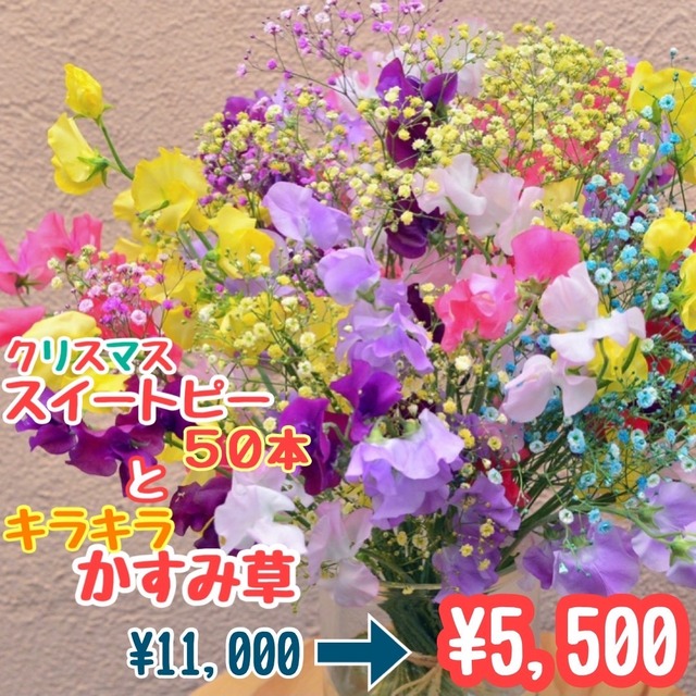 ロマンチックかすみ草 いわい生花 Base店 ロマンチックかすみ草 いわい生花 Base店