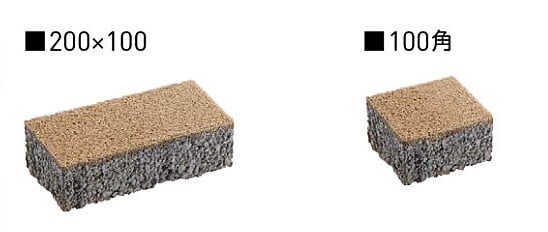 ユッカ ロストラータ ※静岡県西部地方は送料無料 | CALM GARDEN