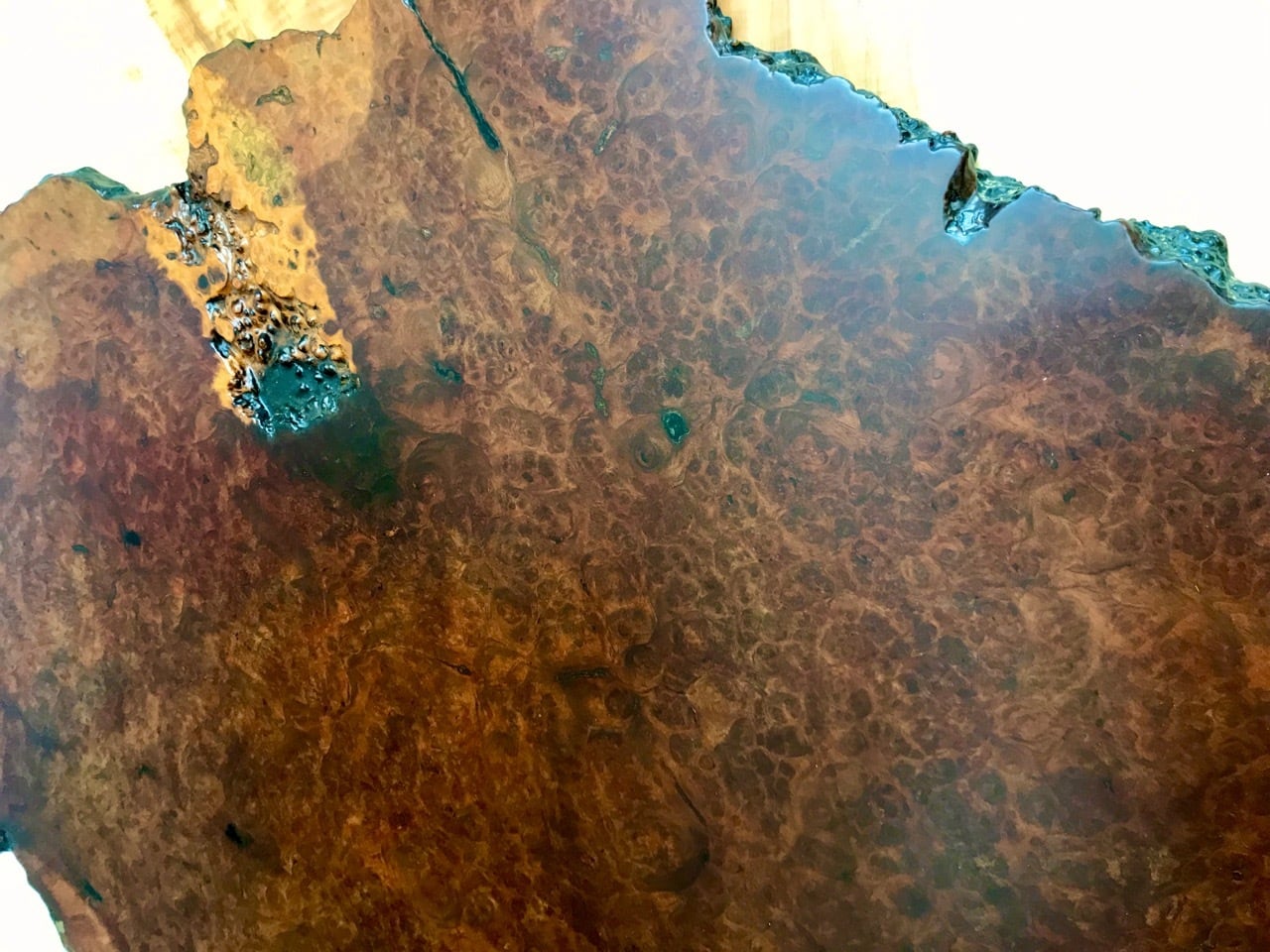 花梨瘤（カリンコブ）_1730×1100-1250-1160×42_青山店_テーブル天板/一