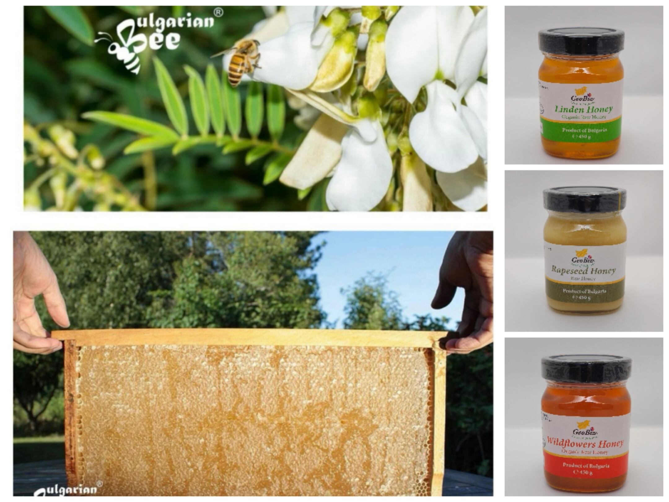 450g菜の花 生はちみつRapeseed Honey ブルガリア産はちみつ | GeoBiz