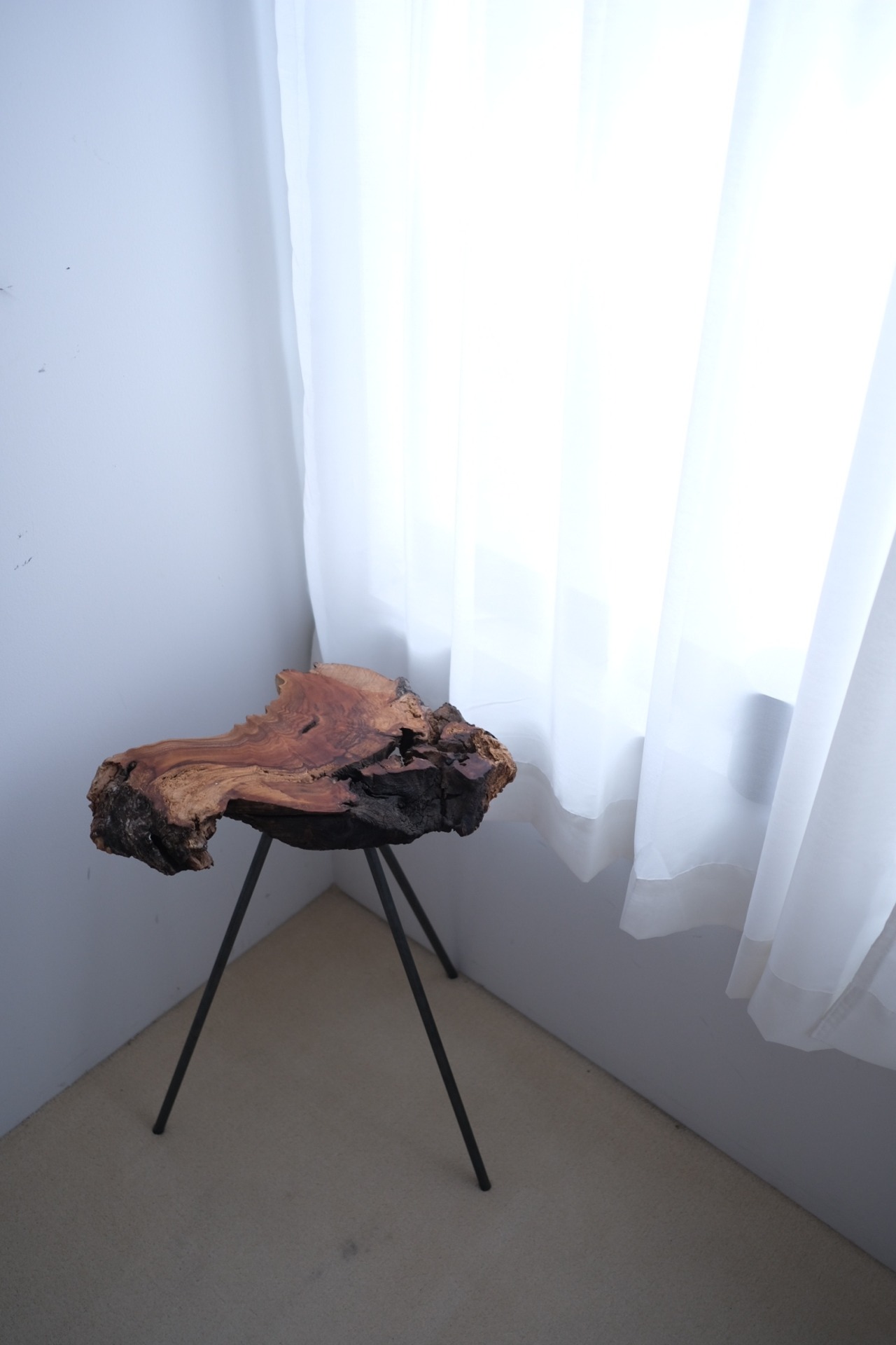 一枚板 Side table "欅"  #005