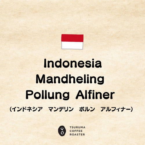 《直接来店受取》Indonesia Mandheling Pollung Alfiner (インドネシア　マンデリン　ポルン　アルフィナー)100g