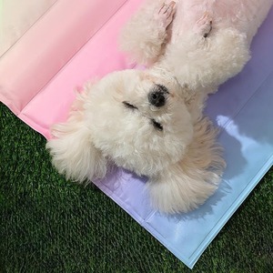 【人気】ペットひんやりマット 犬 猫 クールシート 冷えひえ ゆっくり眠れる ベッドマット 50×40m 接触冷感 水洗い可 PVC生地 (45×45cm 虹)