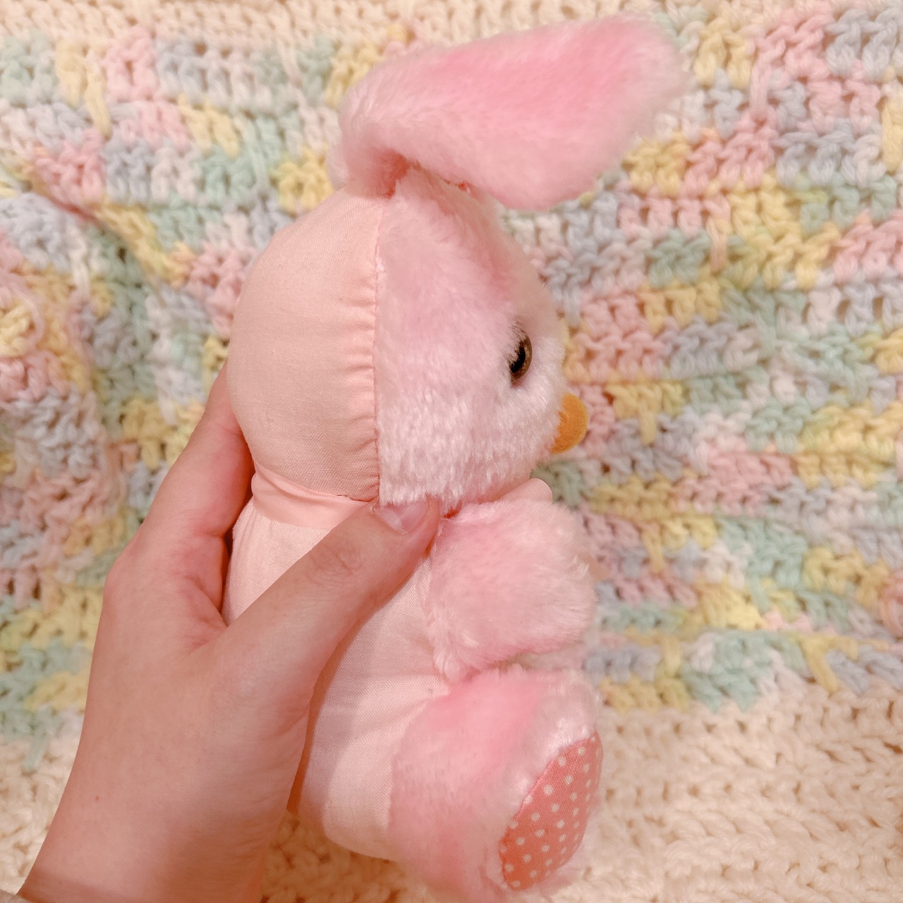bunnyの画像03