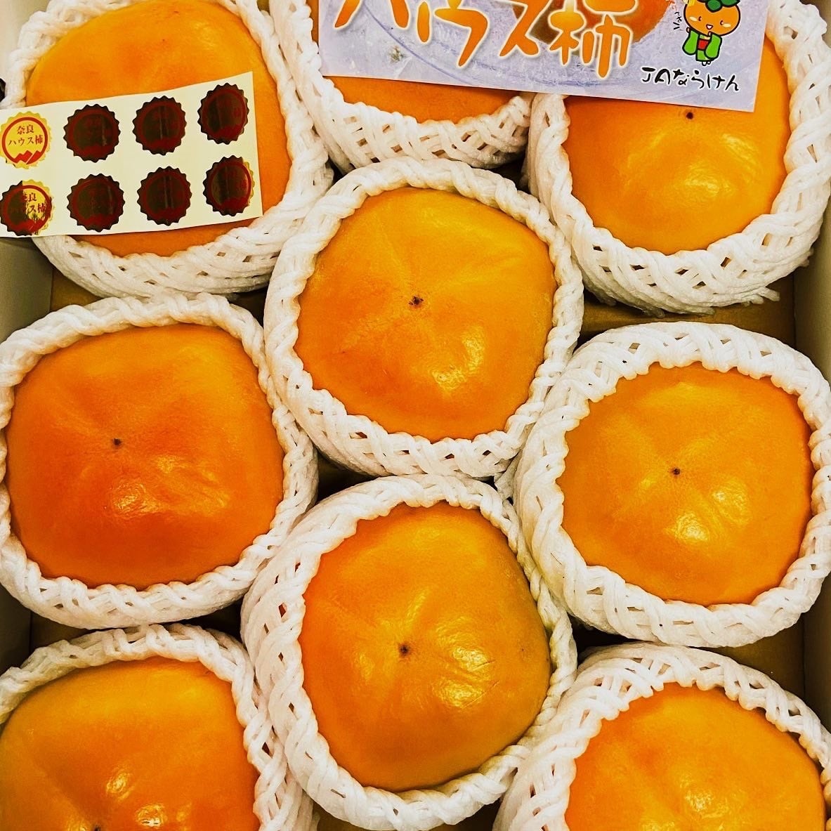 たねなし柿（奈良県産また和歌山県産） | dreamkeinomi