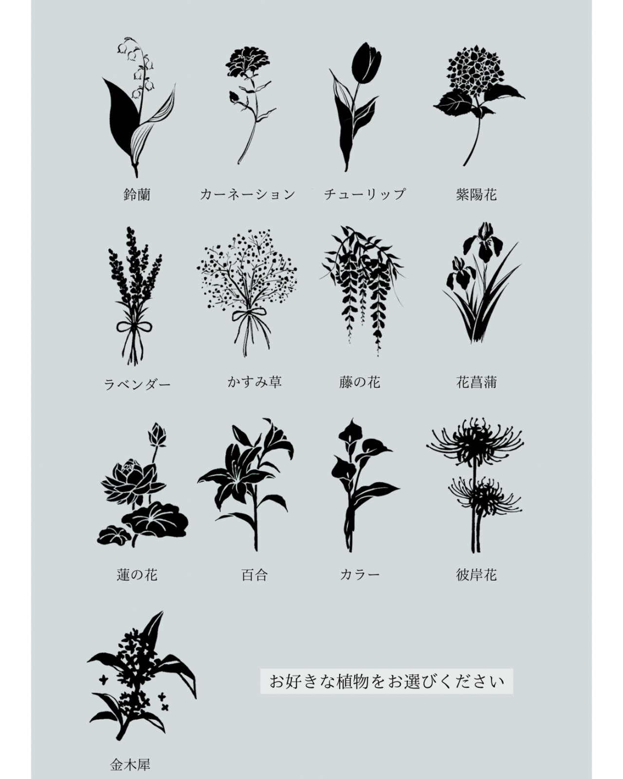 植物標本 key ring / ◻︎white