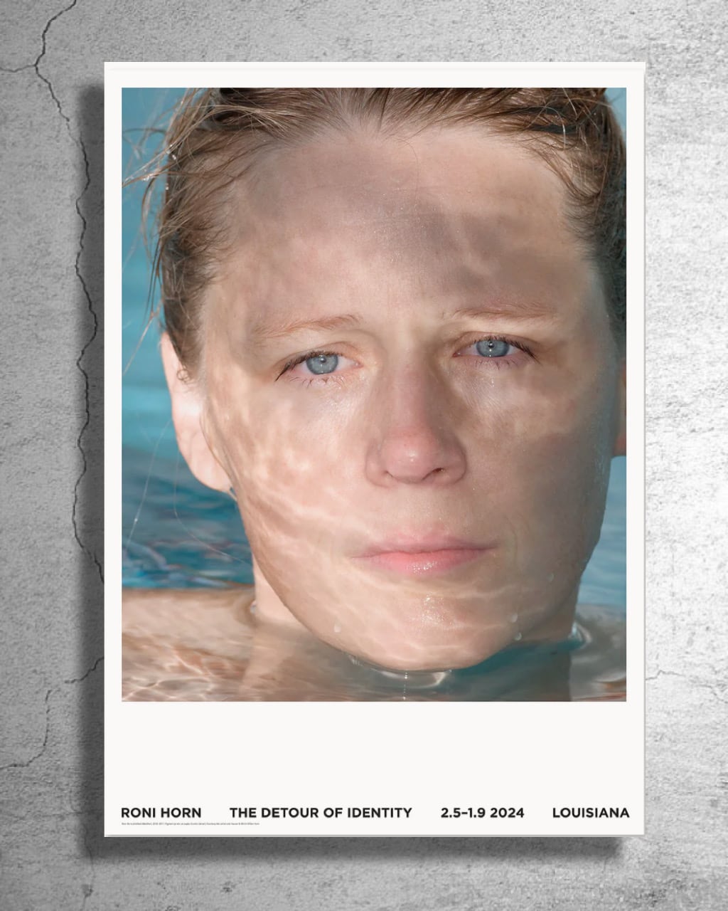 現代美術家『ロニ・ホーン』2024年デンマーク現代美術館制作ポスター