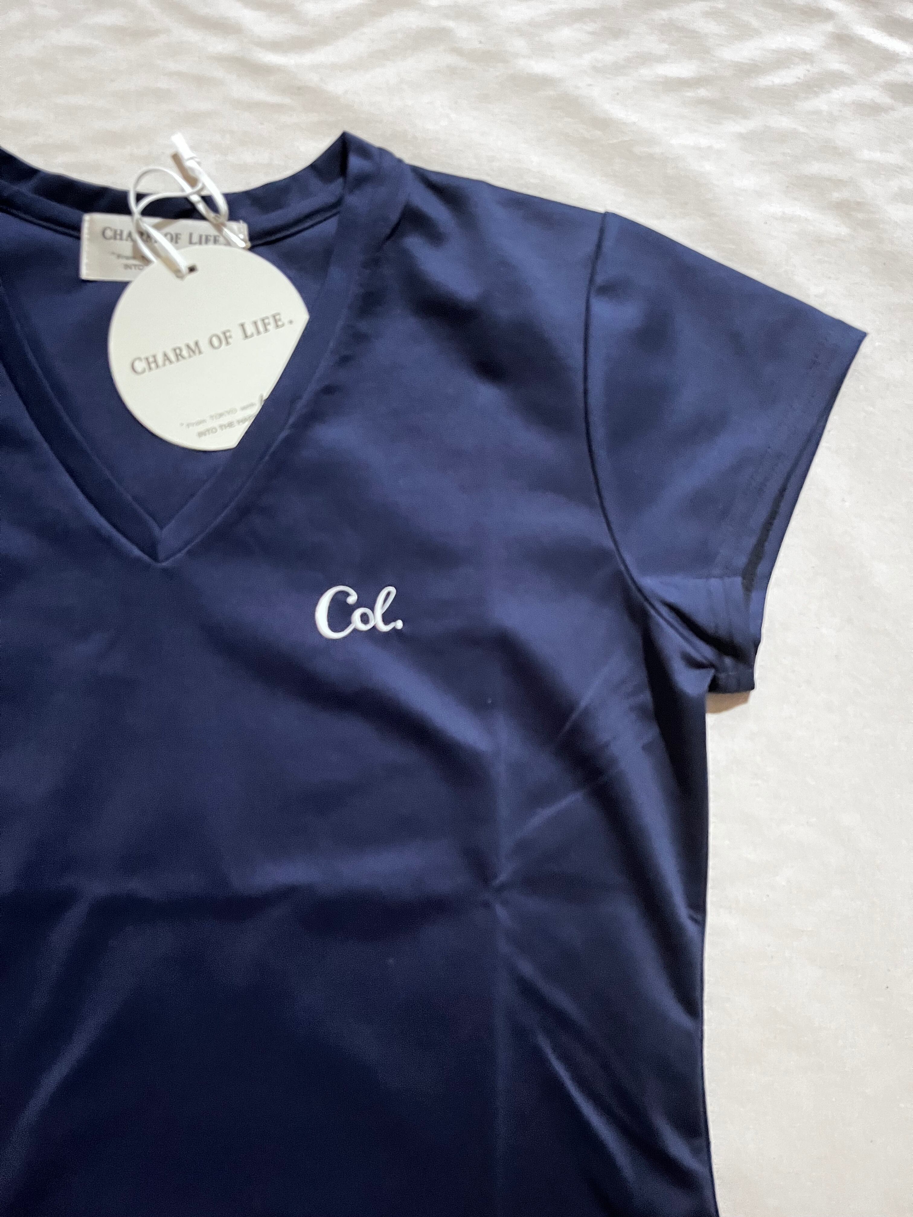 Vネック刺繍フレンチTee