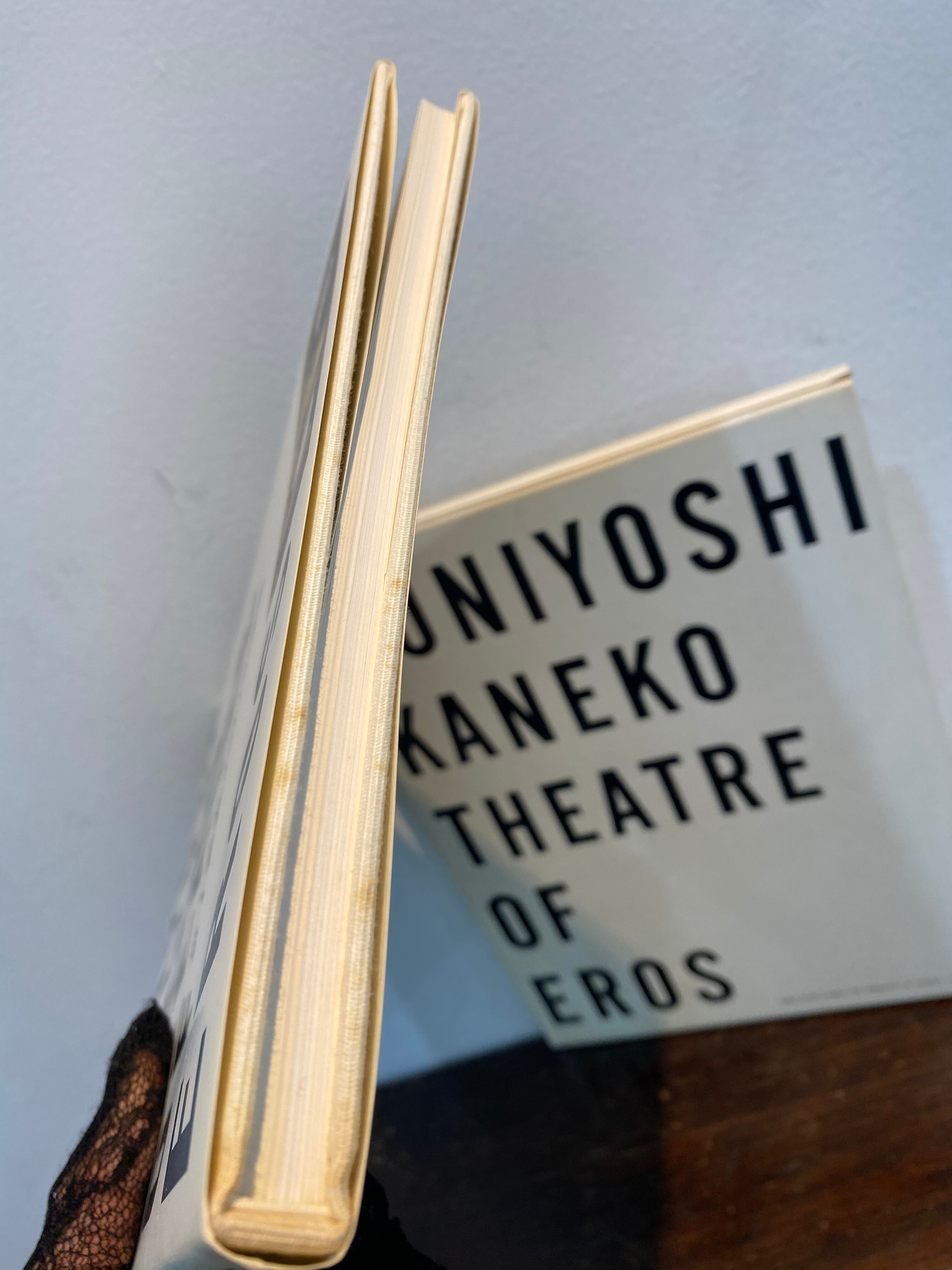 80's 金子國義エロスの劇場 | zbooks