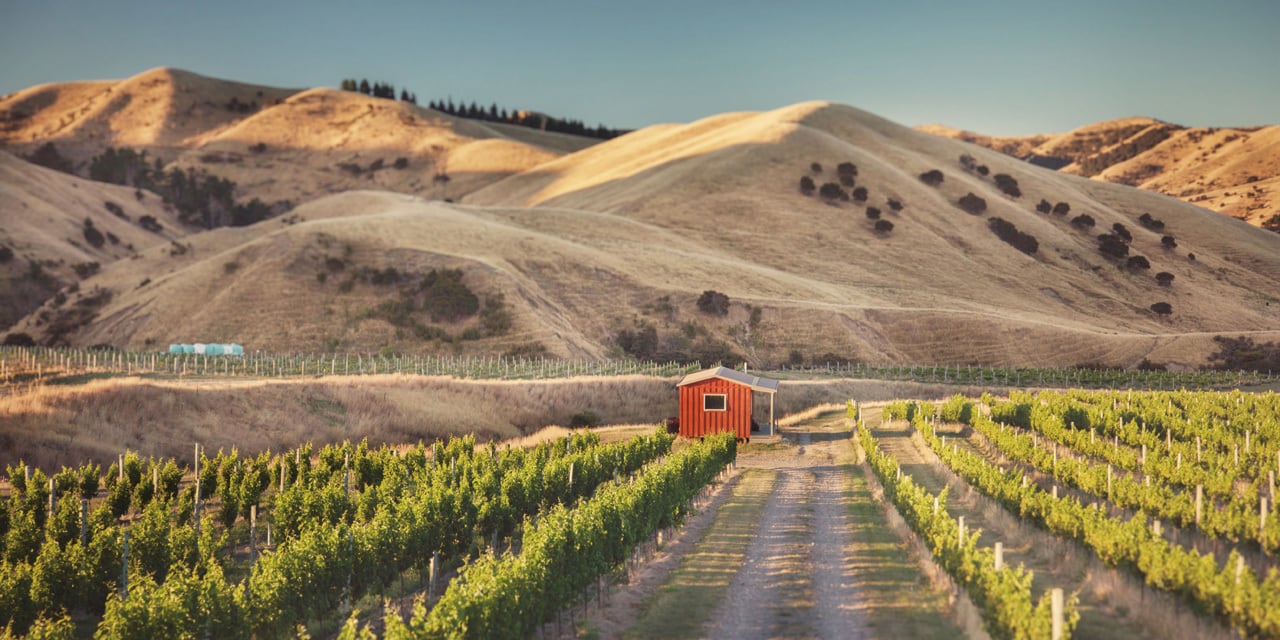 melt 薔薇マコ メンプロ Love Mako 忍者 アストロ4個セット マザーガーデン 野いちごままごと アイシャドウセット 《ブルー