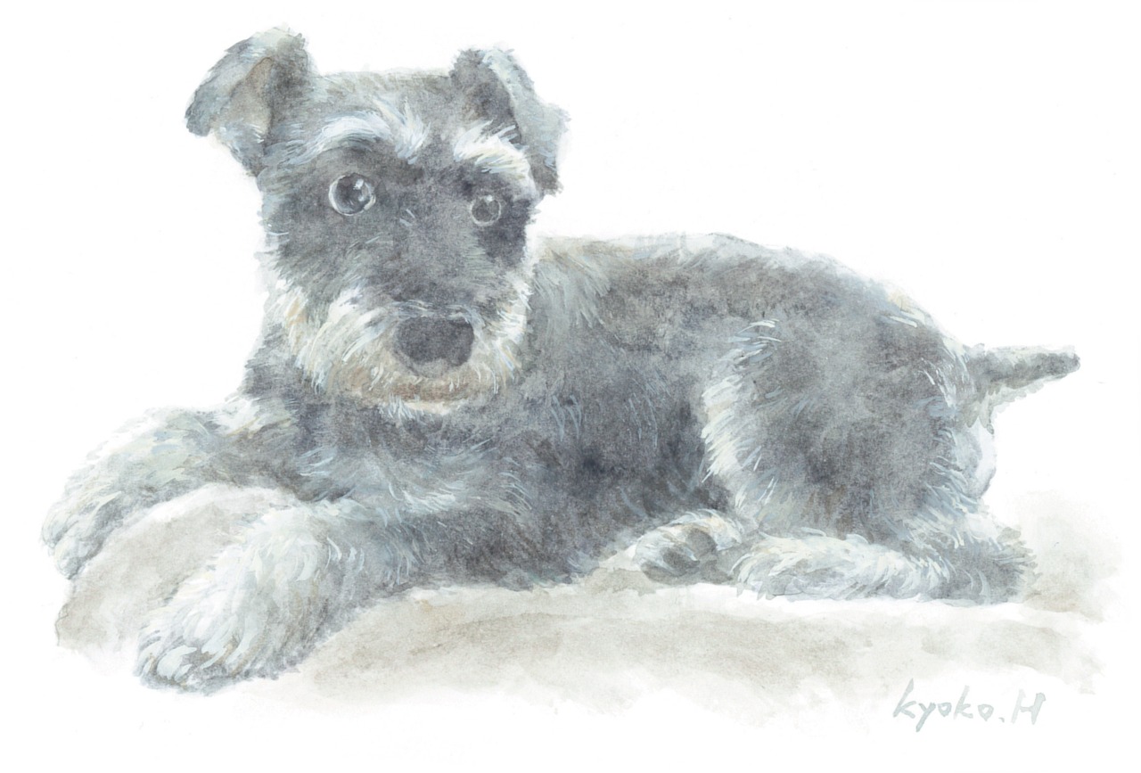 ❌文京区好き(❁ᴗ͈ˬᴗ͈)新品　ハガキサイズ絵画額入り ❌文京区好き(❁ᴗ͈ˬᴗ͈)新品 ハガキサイズ絵画額入り