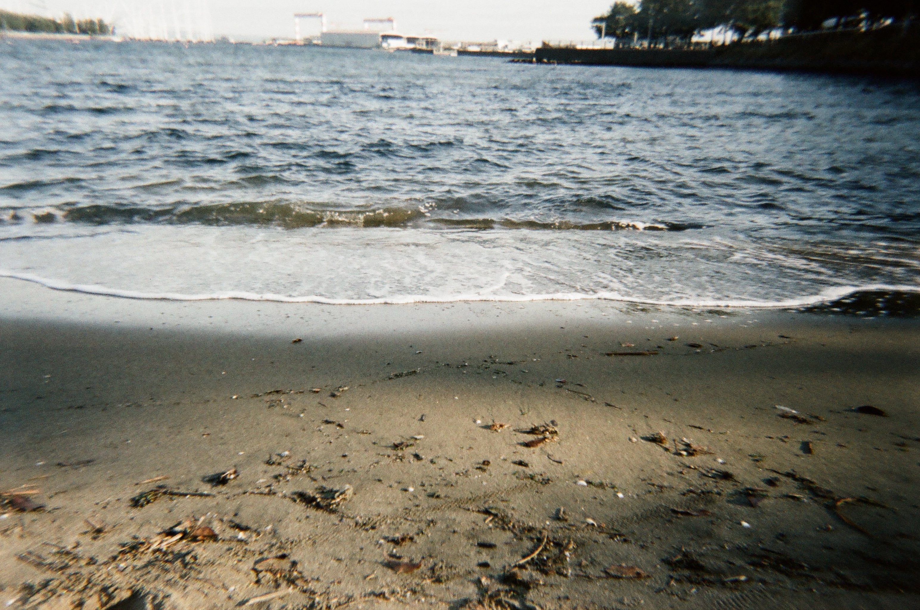 作例あり】FILM NEVER DIE ZATSU 400 35mmカラーネガフィルム 36枚撮り