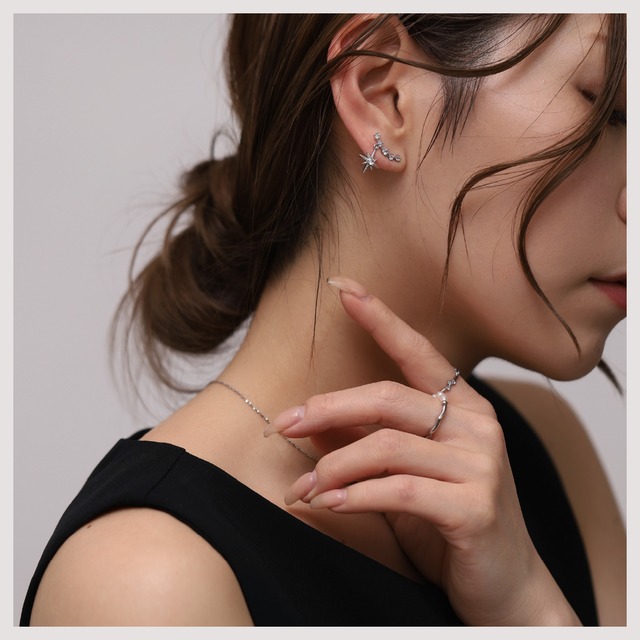 Earring/Pierce -Gold/Silver-