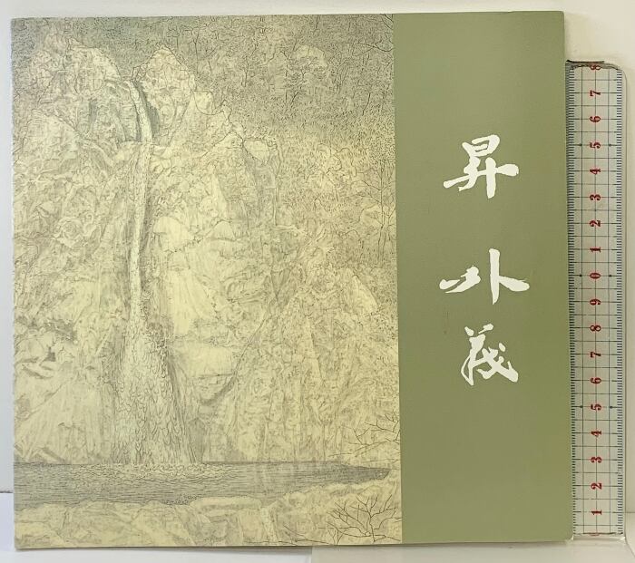 HARMS WAY Joel-Peter Witkin 洋書 写真集 | Pay ID