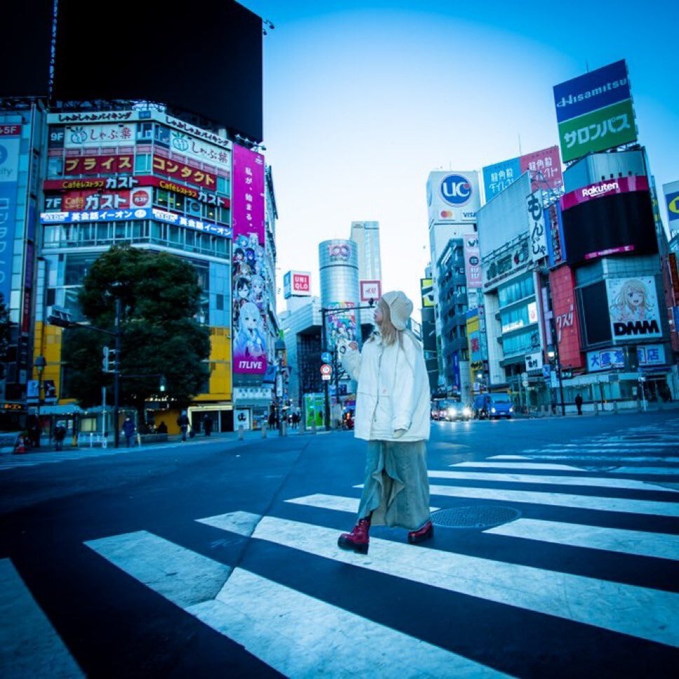 邦楽 BLUEGOATS / YOLO YOLO CD | BLUEGOATS