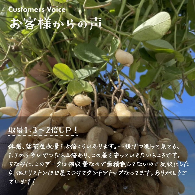 【超得】ラプラス - LaPlaS - まとめ買い10L　送料無料