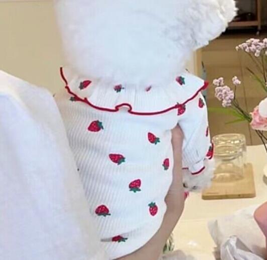 《予約》1102121 プチストロベリーストレッチトップス