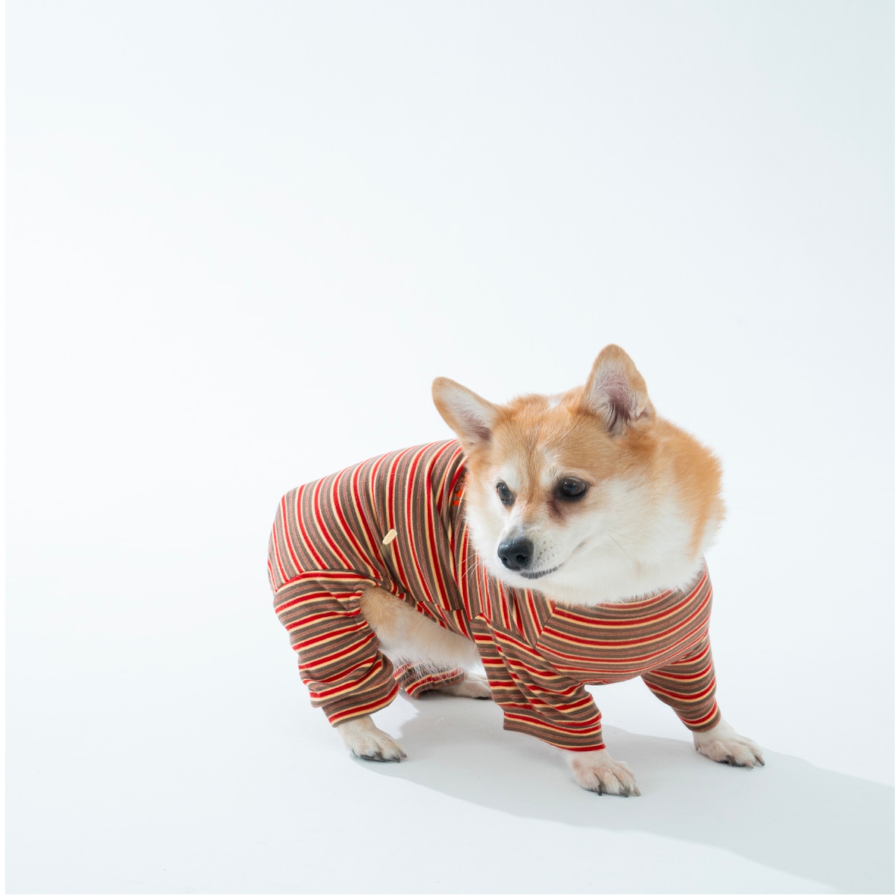 【puppygallery公式】 Homeground all-in-one M-XL