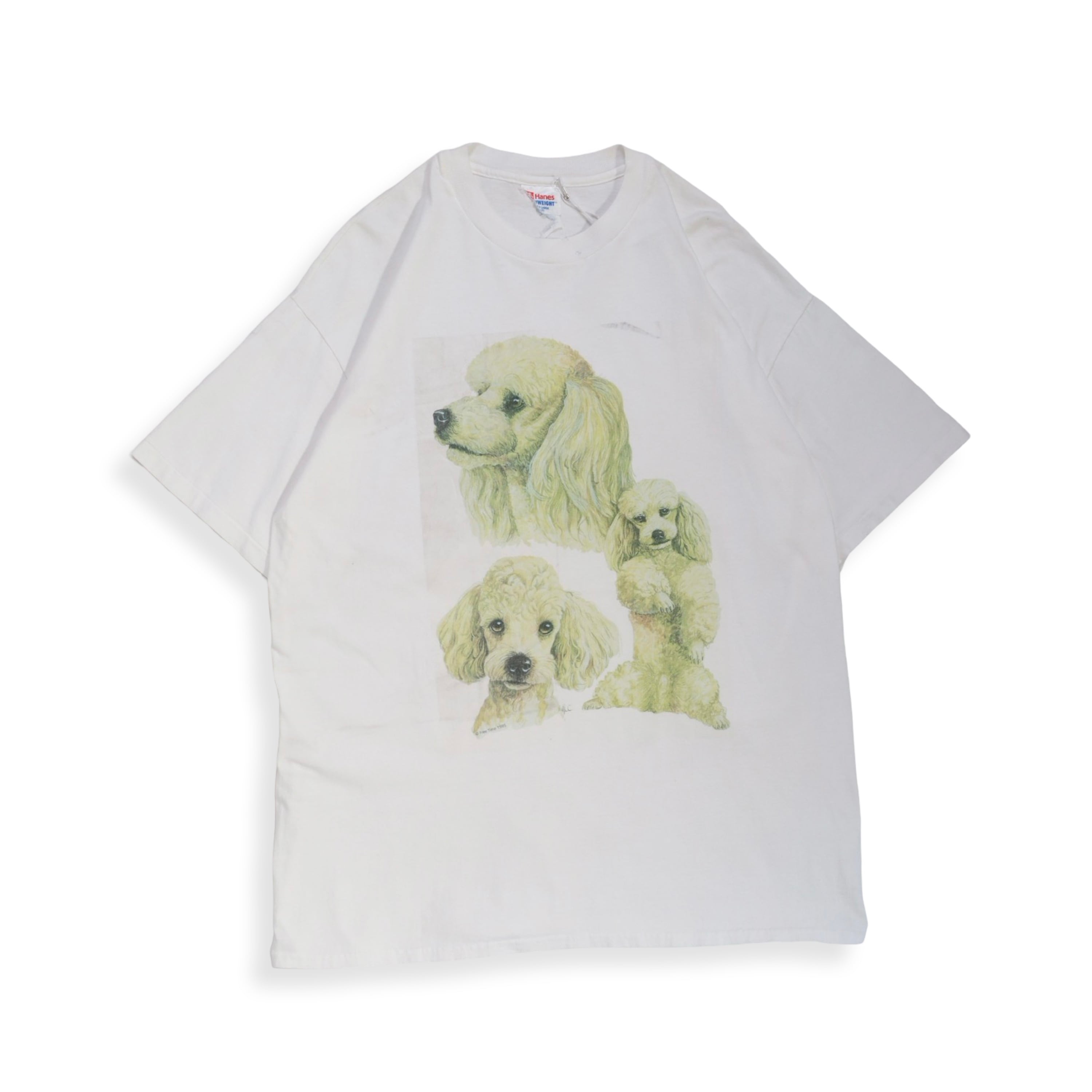 Poodle