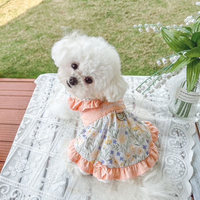 ボタニカル柄のエプロンドレス 犬服 00666