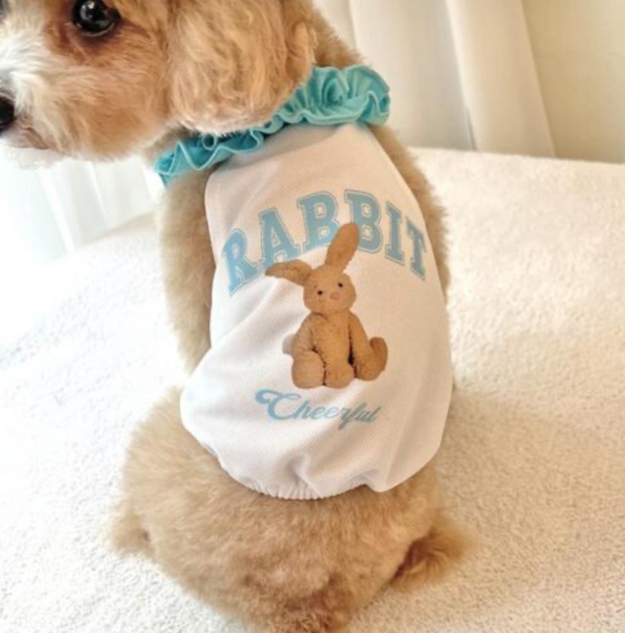 即納【pecoramou select】 COOLラビットホルダーネックトップ