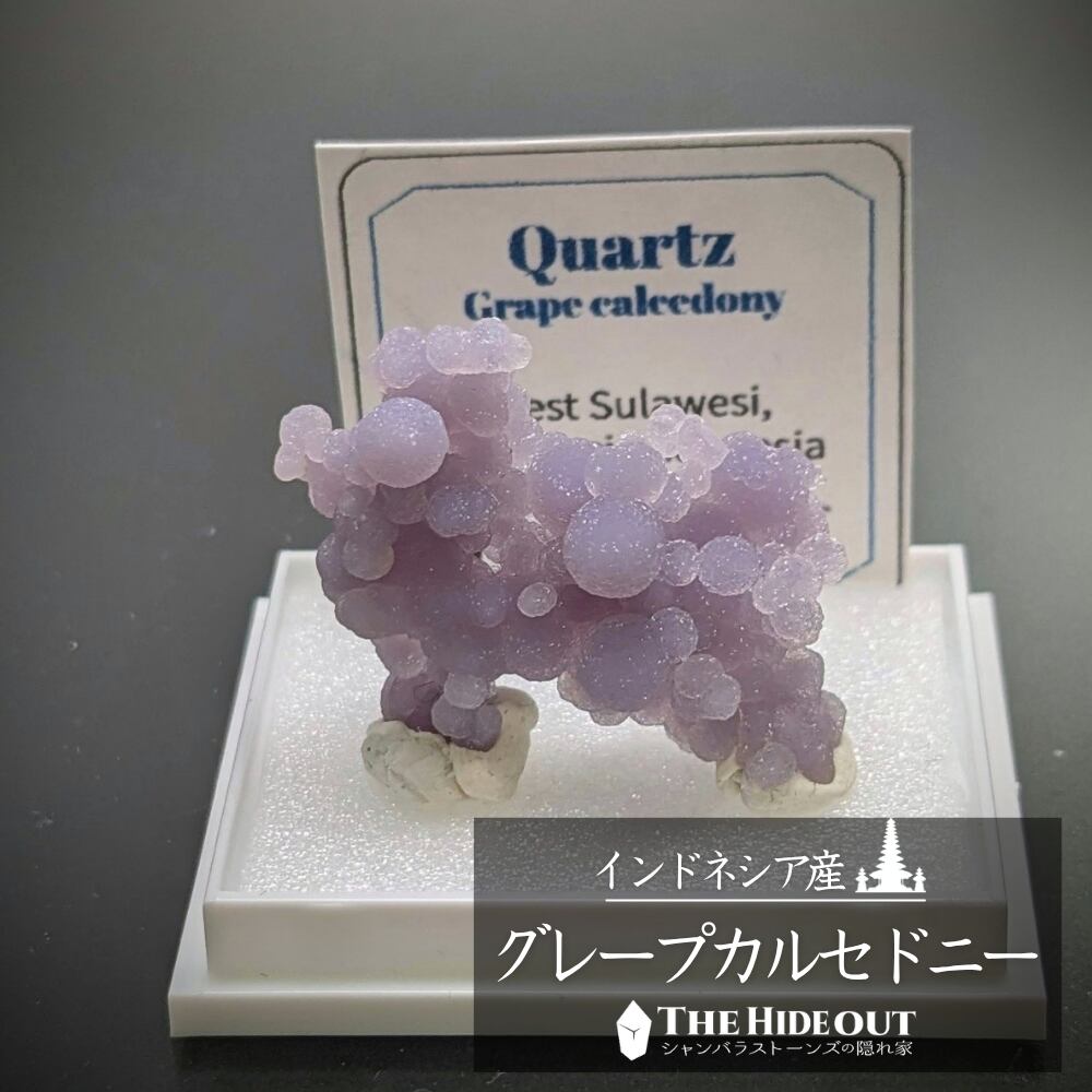 店長気まぐれ仕入れ品016 グレープカルセドニー(グレープクォーツ/グレープアゲート)原石標本 でましたトイプードル、芸術点100点