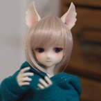 【写真見本】ノアS・アニメ・Cタイプ（EA03）