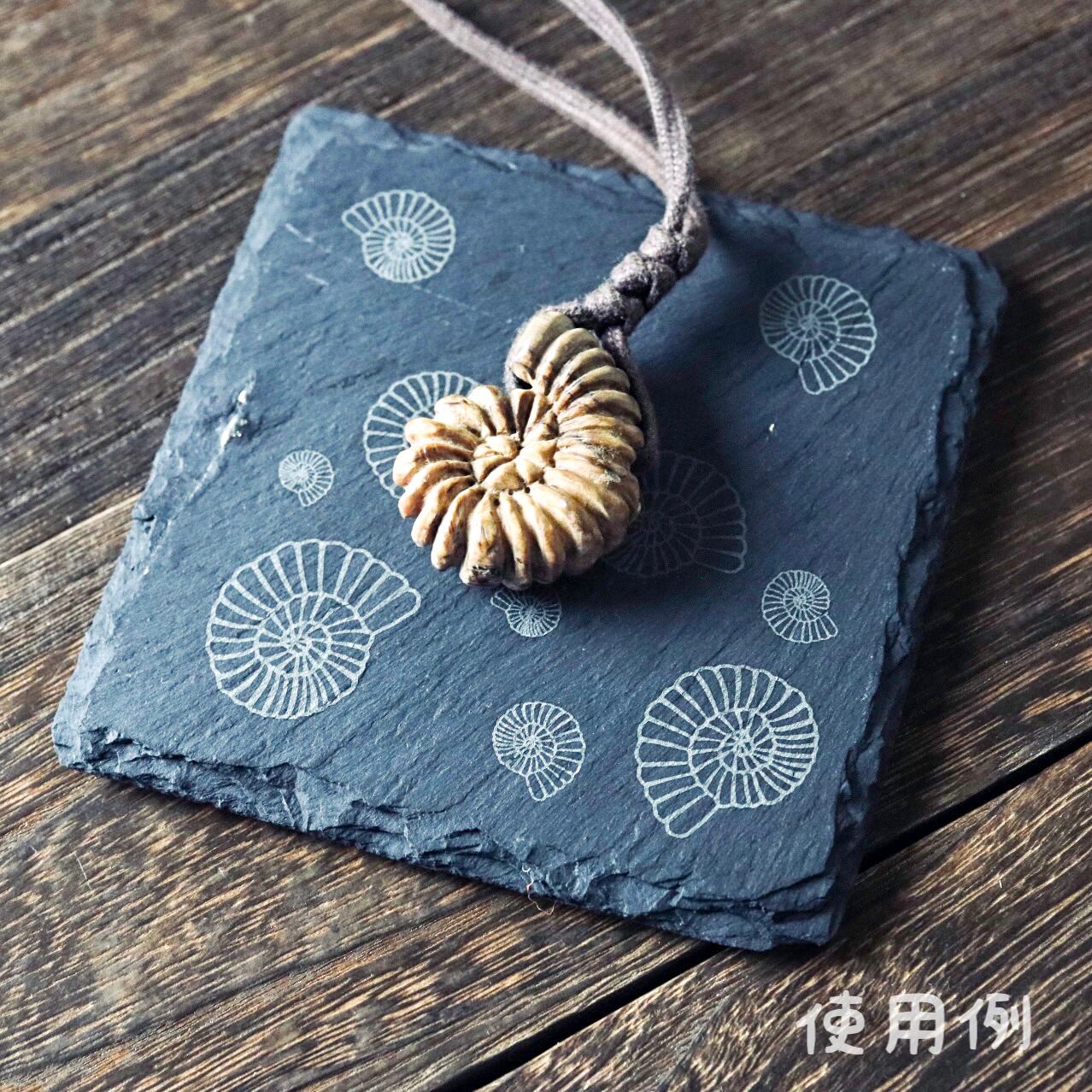 古代プレート :L 〈 アンモナイト化石 〉 | 樹源 ‐KiGen‐