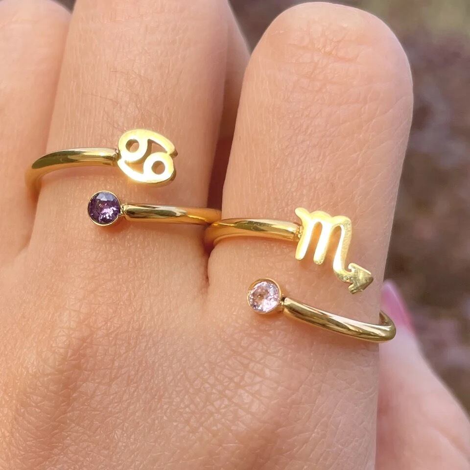 金アレ対応 316L 星座×誕生石リング (0140)