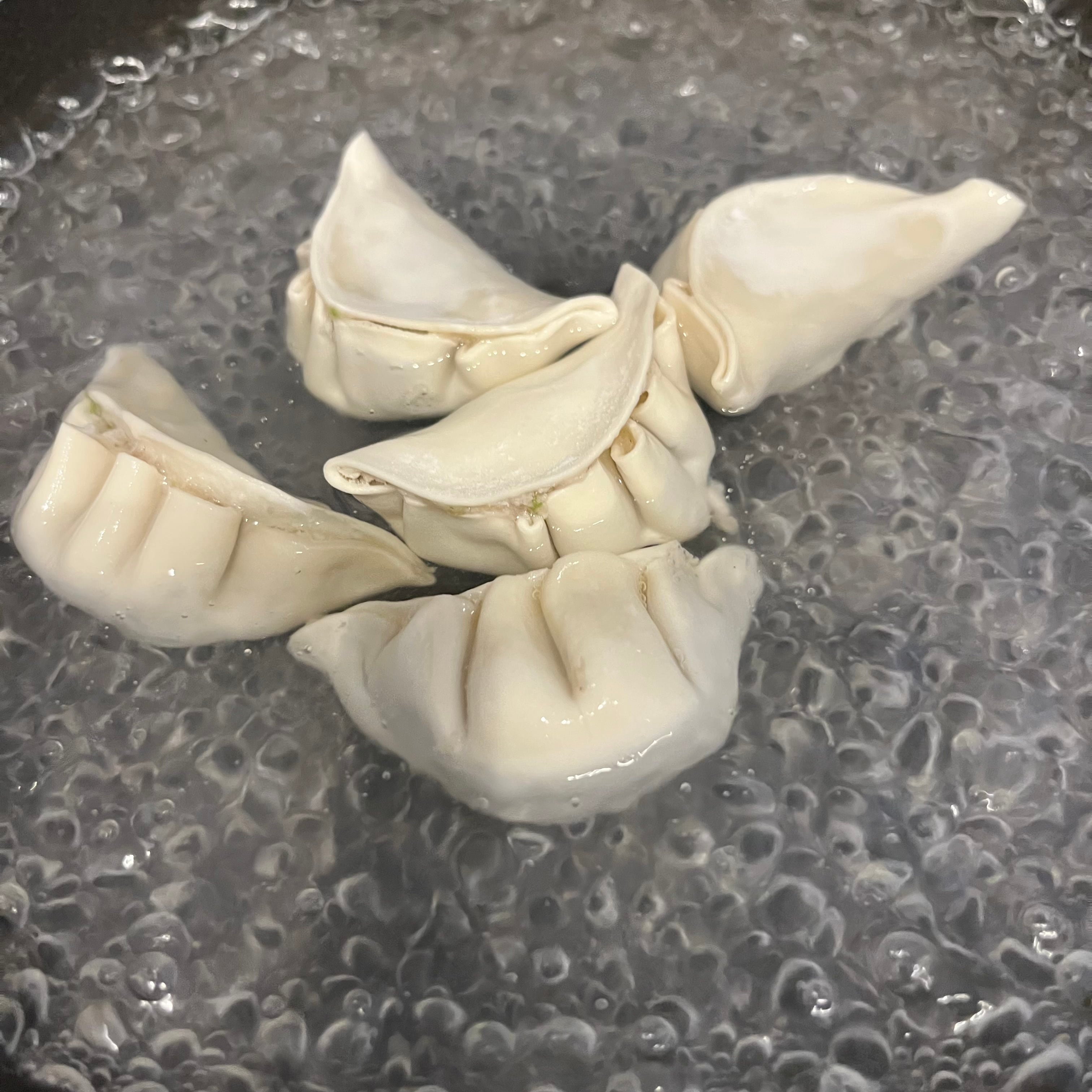 音更宝永特製手造り餃子【1番人気定番のニラ】1.2kg | 音更ぎょうざの