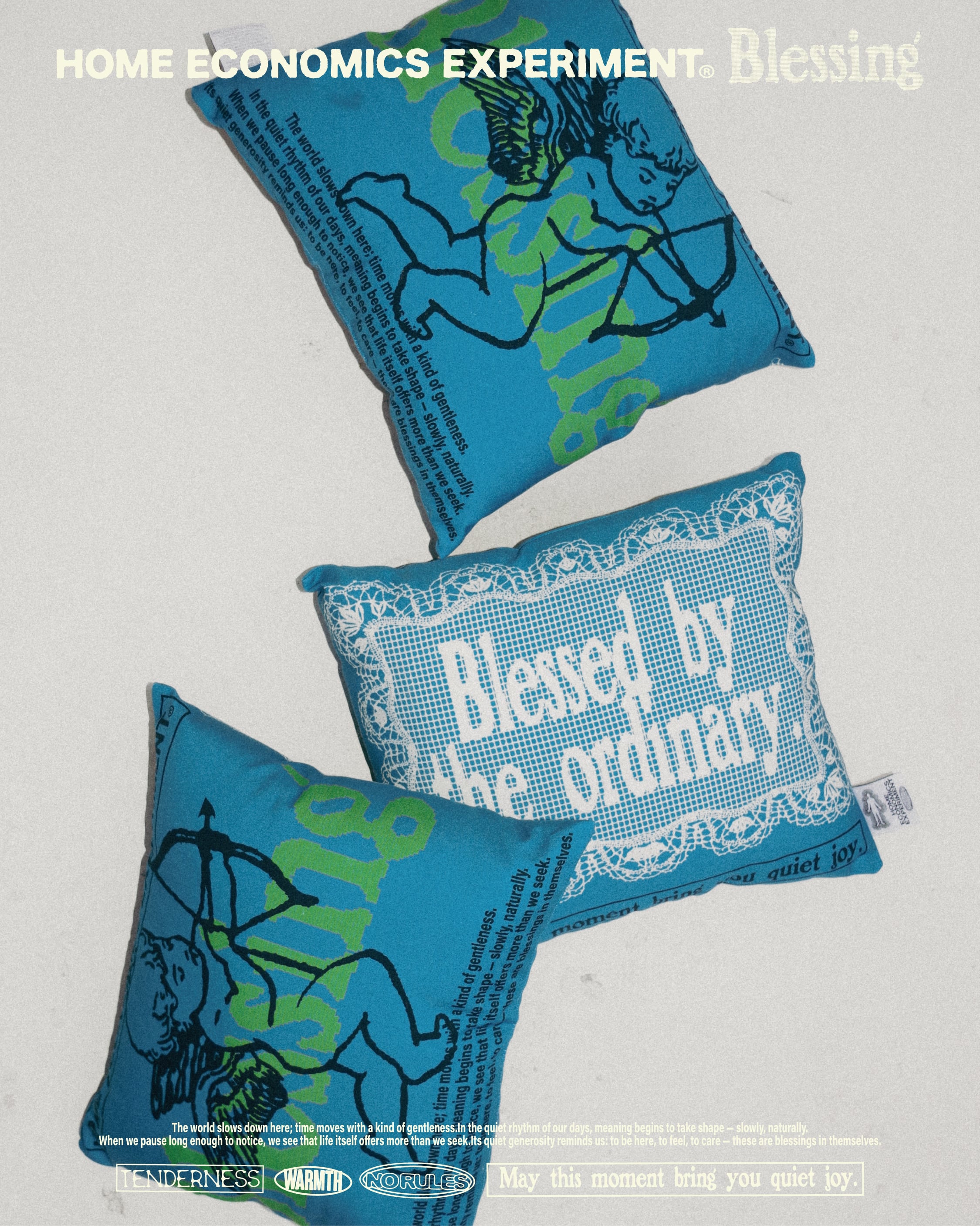 HOME ECONOMICS EXPERIMENT